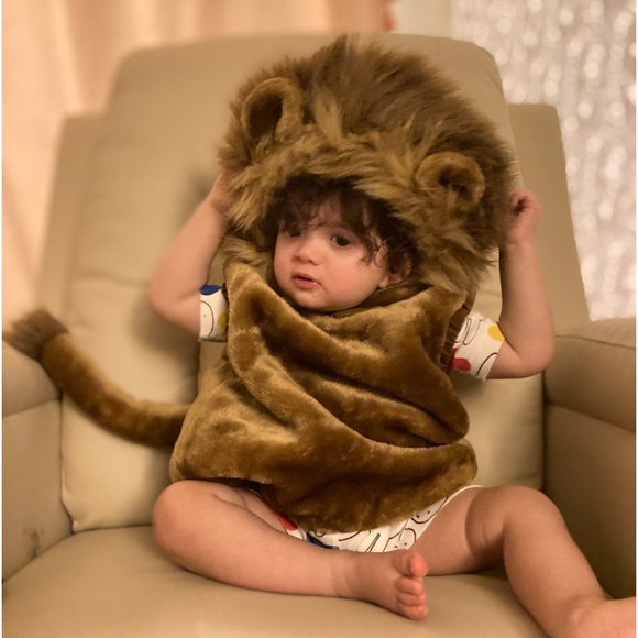 Meet your Posher, Mogget - Picture 2 of 16